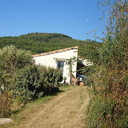Maison De Campagne L'Etang سيلانس المظهر الخارجي الصورة